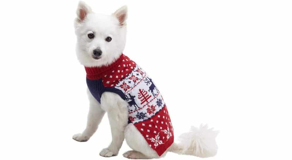 Blueberry Pet Christmas Sweater