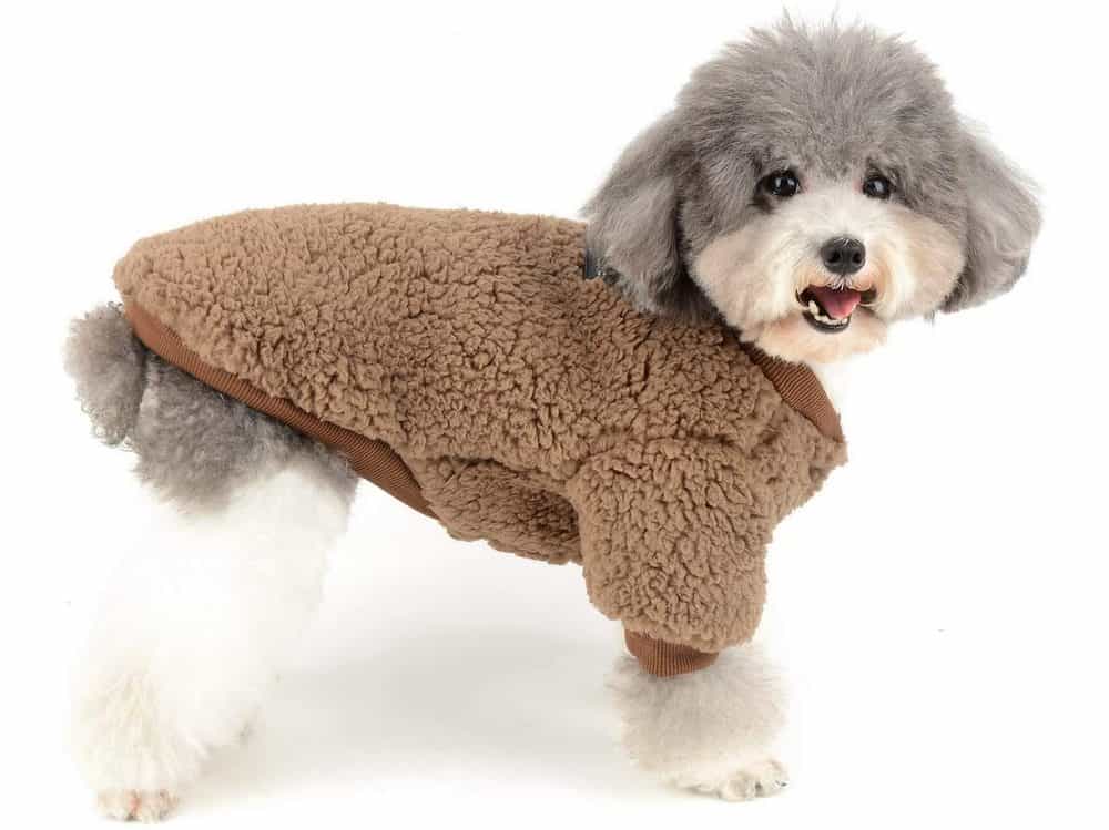 fleece vest for dogs