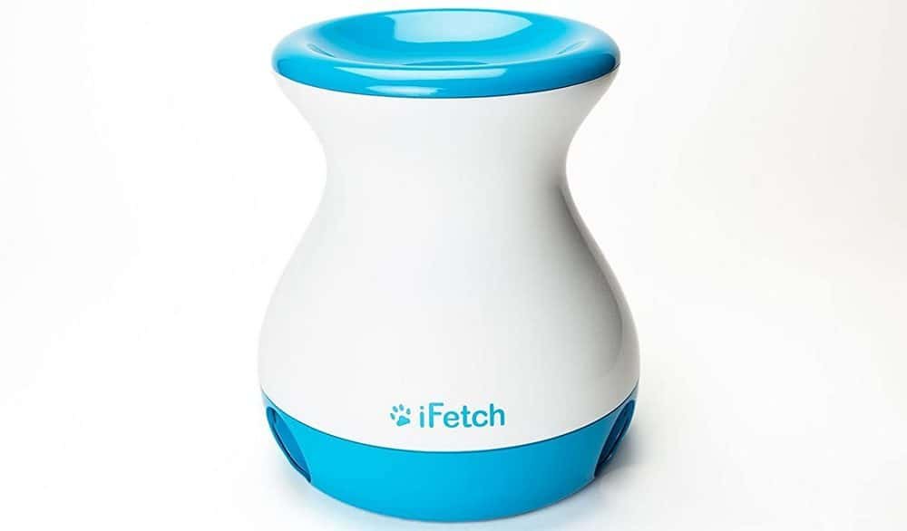 How To Keep A Yorkie Entertained (With Or Without You)