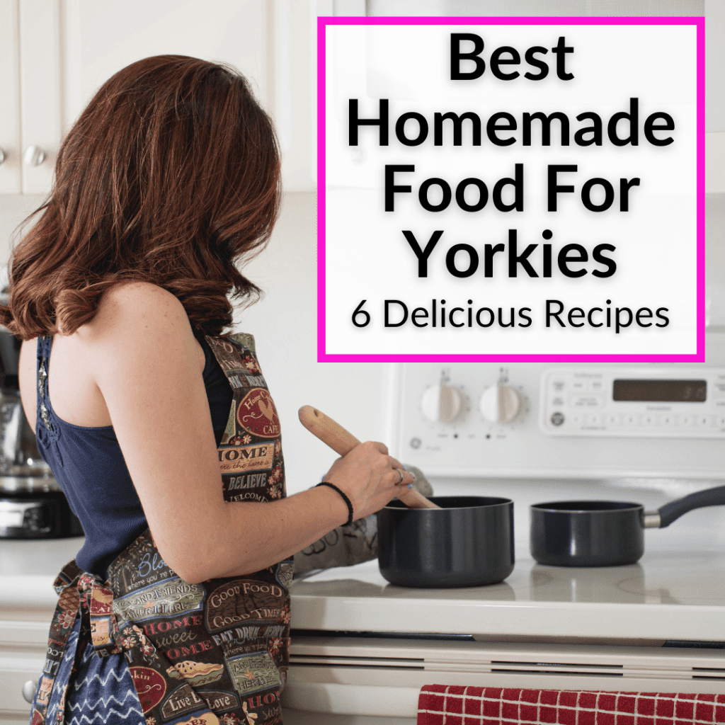 Best Homemade Food For Yorkies (6 Delicious Recipes)