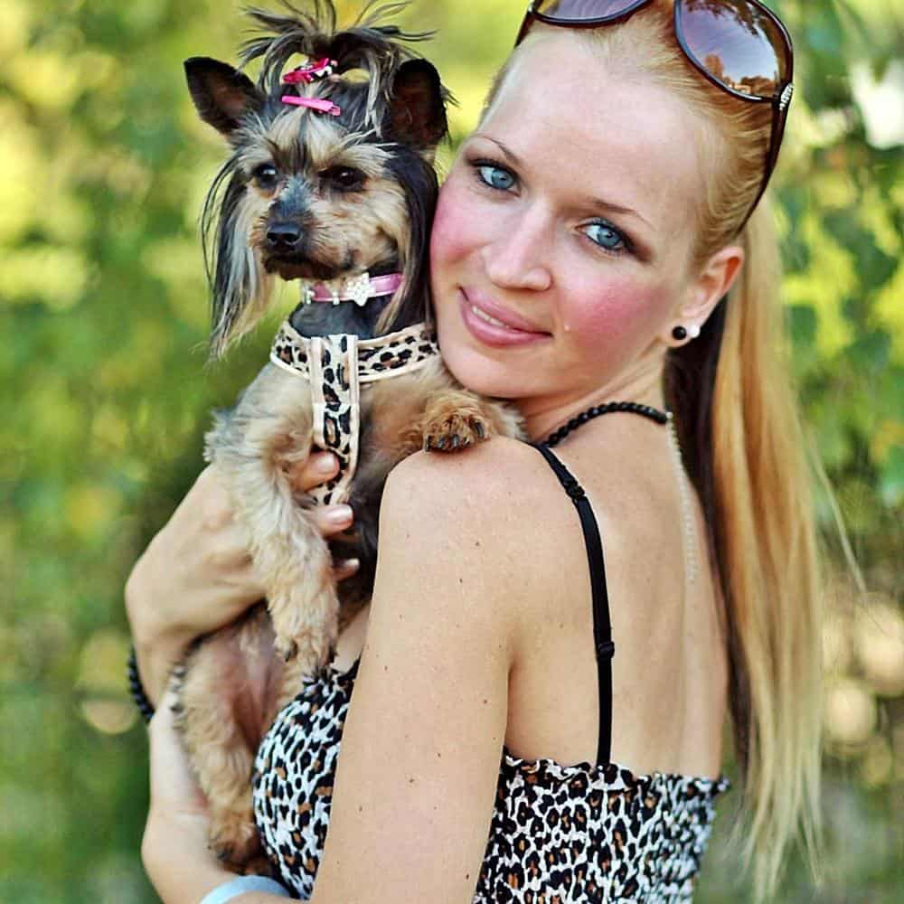 yorkie and owner