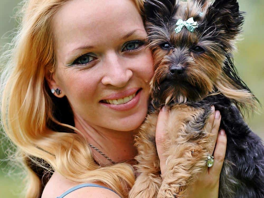 yorkie formed attachment with woman