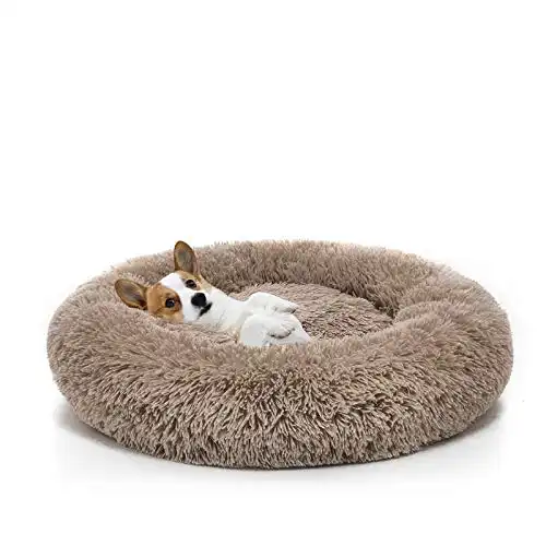 Mixjoy Orthopedic Ultra-Soft Donut Dog Bed