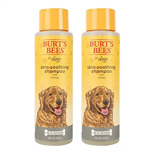 Burt's Bees for Dogs Natural Skin Soothing Shampoo with Honey