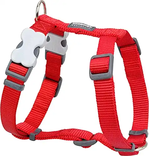 Red Dingo Classic Dog Harness