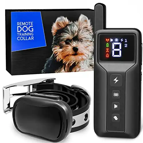Enrivik Extra Small Dog Training Collar with Remote